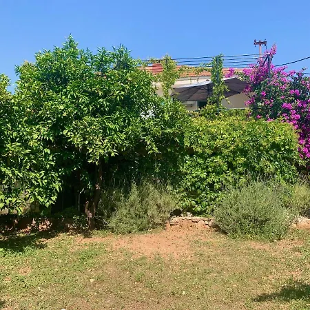 Studio Mao Trogir